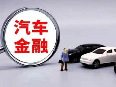 立新押车贷款不是本人可以么?